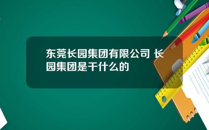 东莞长园集团有限公司 长园集团是干什么的